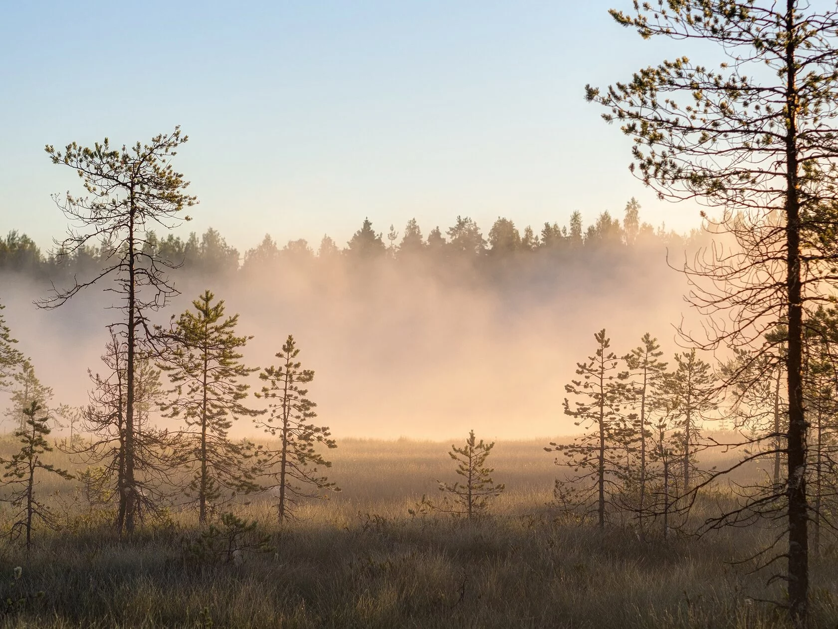 AdobeStock_285392251 AdobeStock_285392251